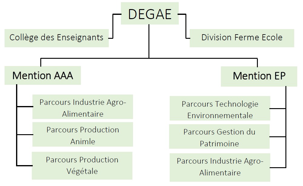 Ecole de Génie en Agronomie et Environnement